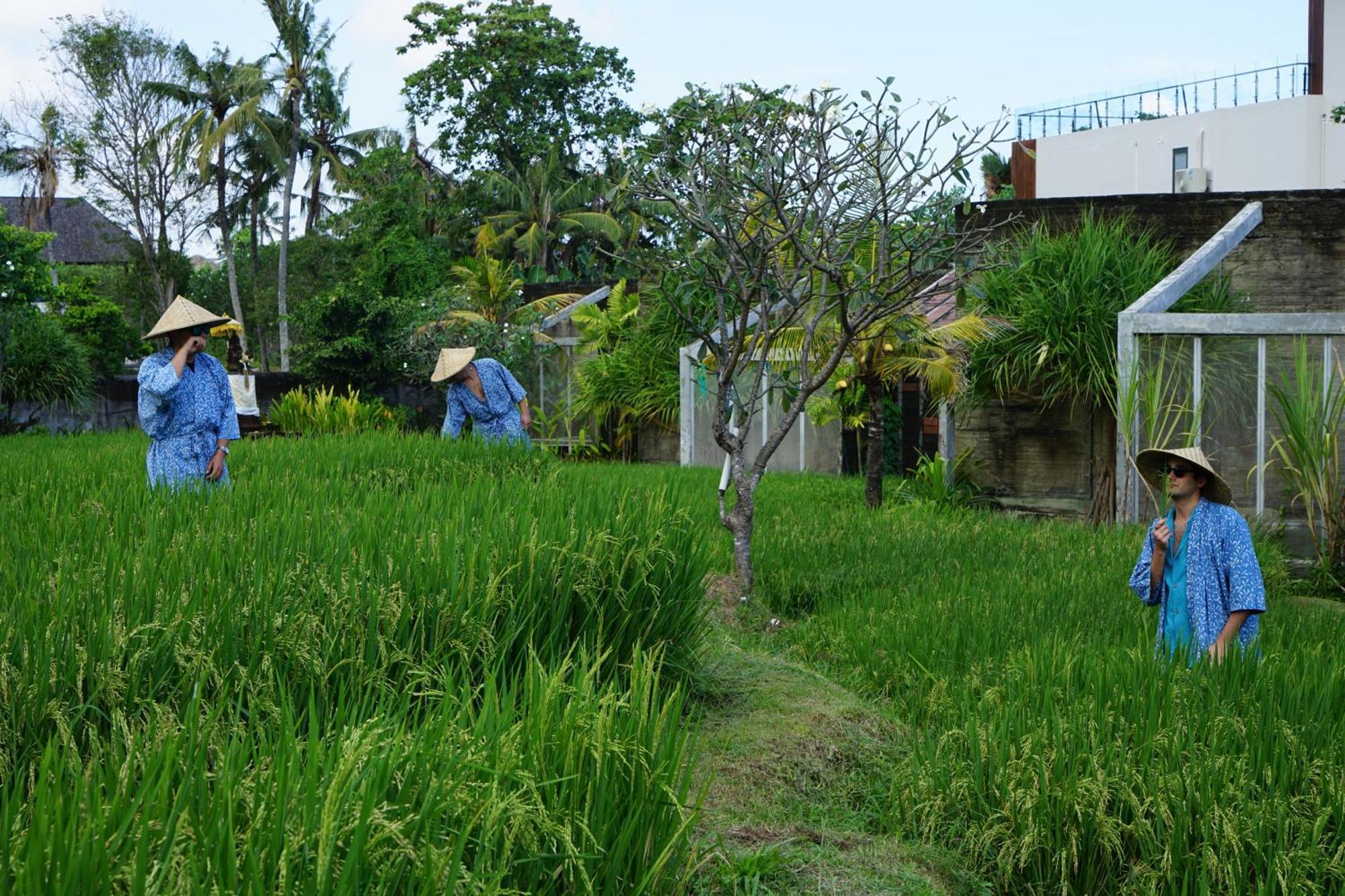 Shore Amora Canggu Extérieur photo